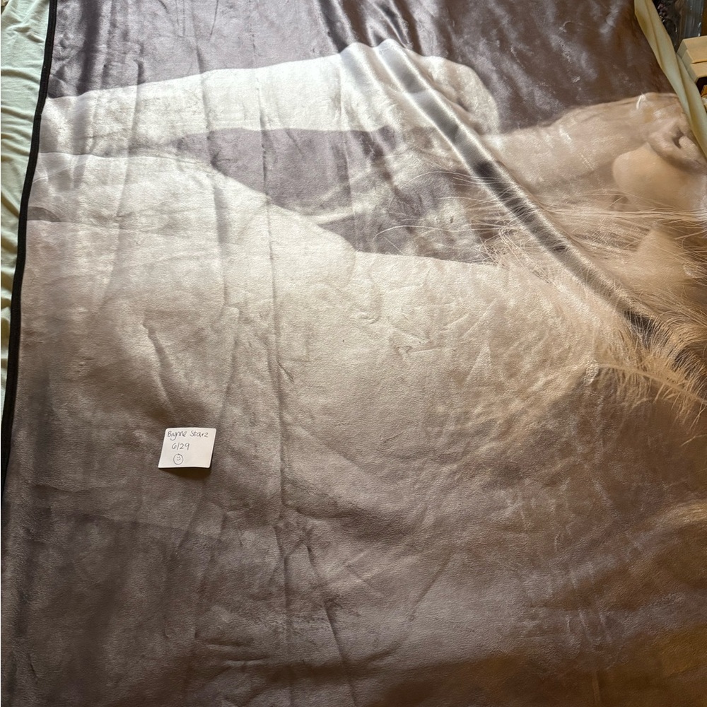 Taylor Swift TTPD blanket
